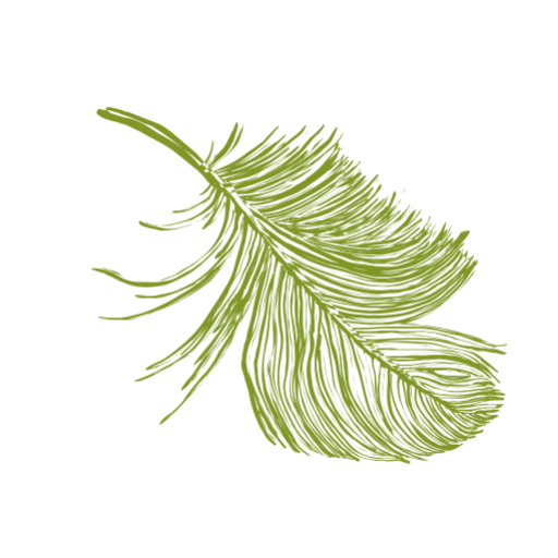 cropped image e1724681362627