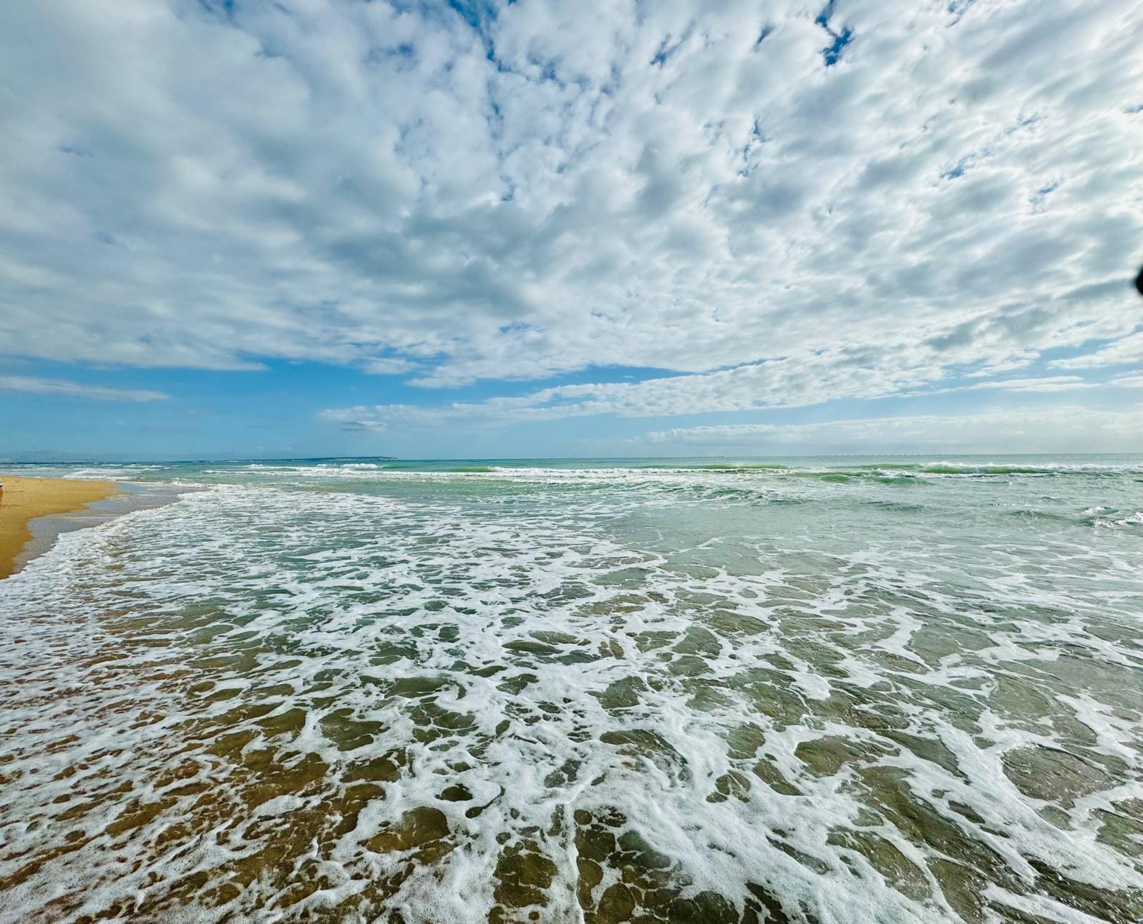 35f60adf 3946 41f4 8a4f 8a664af44f2c